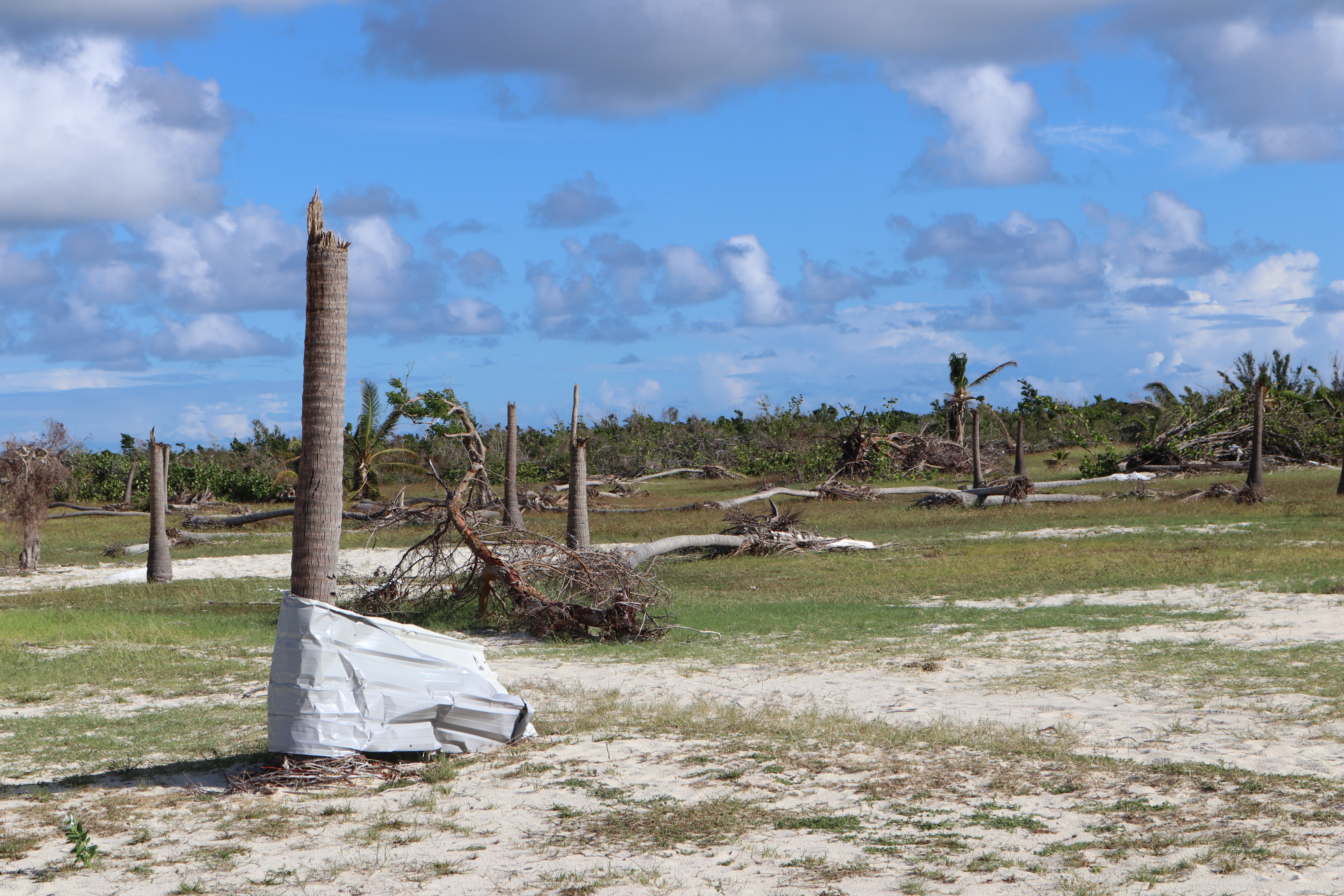 Looking toward the airstrip